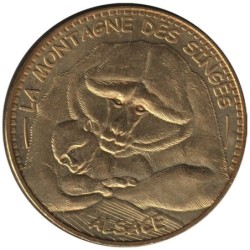 67-1580 - La Montagne des Singes - Bébé singe - 2013
