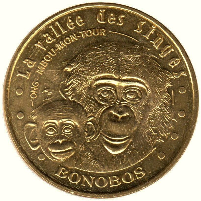 86-1186 - La Vallée des Singes - Les bonobos - 2014