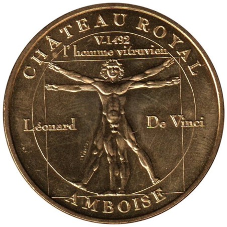 37-0118 - Château d'Amboise - L'homme vitruvien - 2010