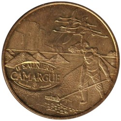 30-1063 - Le saunier de Camargue - La récolte - 2010