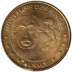 67-1041 - Montagne des Singes - La mère et son petit - 2010