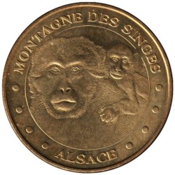67-1041 - Montagne des Singes - La mère et son petit - 2010