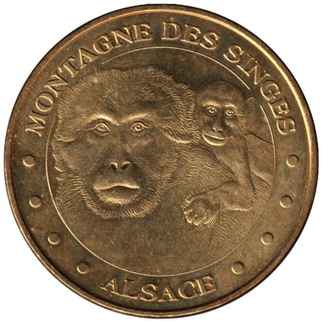 67-1041 - Montagne des Singes - La mère et son petit - 2010