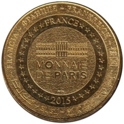 49-2095 - Saumur - Val de Loire Le château et le pont Cessart - 2015