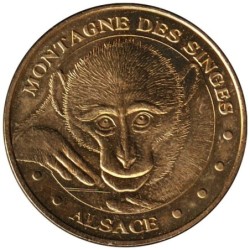 67-1169 - Montagne des Singes - Le bébé singe - 2011