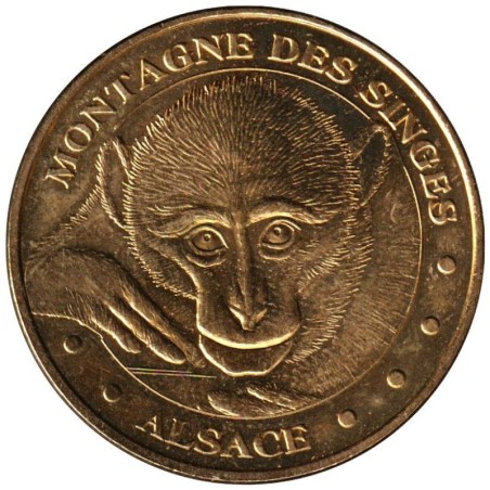 67-1169 - Montagne des Singes - Le bébé singe - 2011