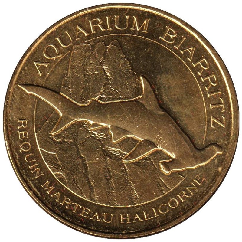 64-2221 - Biarritz - Requin marteau Halicorne - 2016 64-2221 - Biarritz - Requin marteau Halicorne - 2016