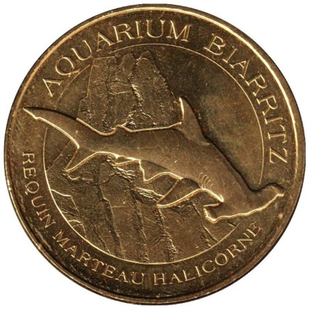 64-2221 - Biarritz - Requin marteau Halicorne - 2016 64-2221 - Biarritz - Requin marteau Halicorne - 2016
