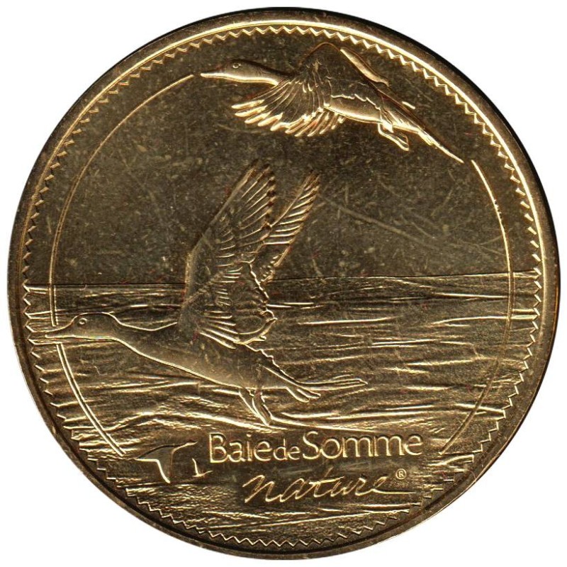 80-2028 - Baie de Somme Nature - Les canards - 2015 80-2028 - Baie de Somme Nature - Les canards - 2015