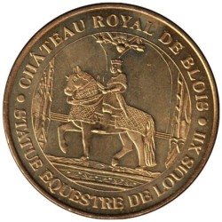 41-0129 - Château royal de Blois - 2010