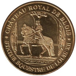 41-0129 - Château royal de Blois - 2010