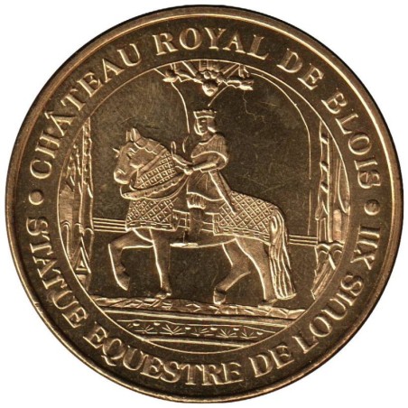 41-0129 - Château royal de Blois - 2010