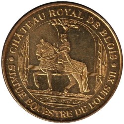 41-0129 - Château royal de Blois - 2010