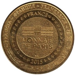 49-2095 - Saumur - Val de Loire Le château et le pont Cessart - 2015
