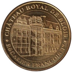41-0127 - Château royal de Blois - 2010